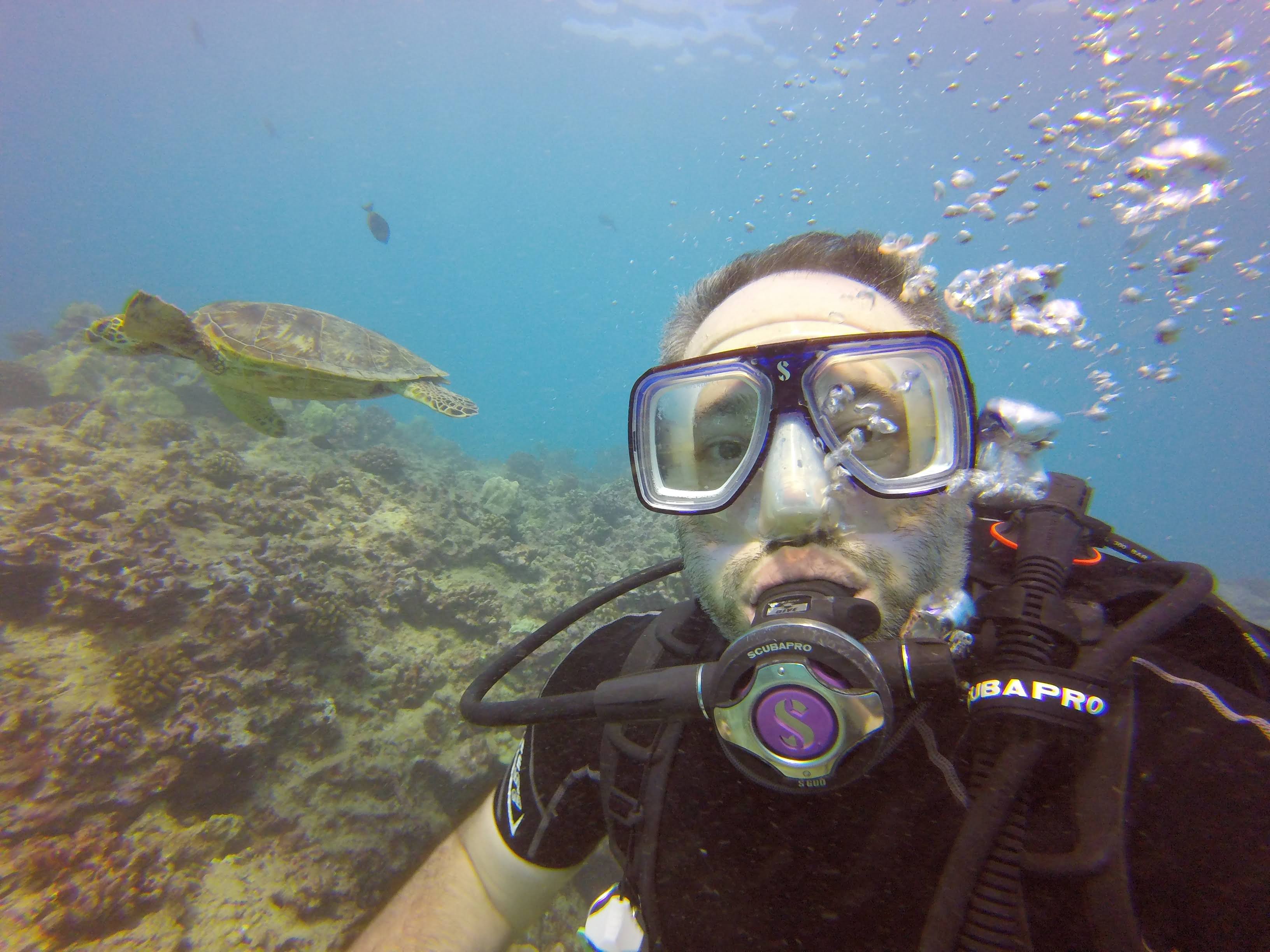 Scuba diving with sea turtle